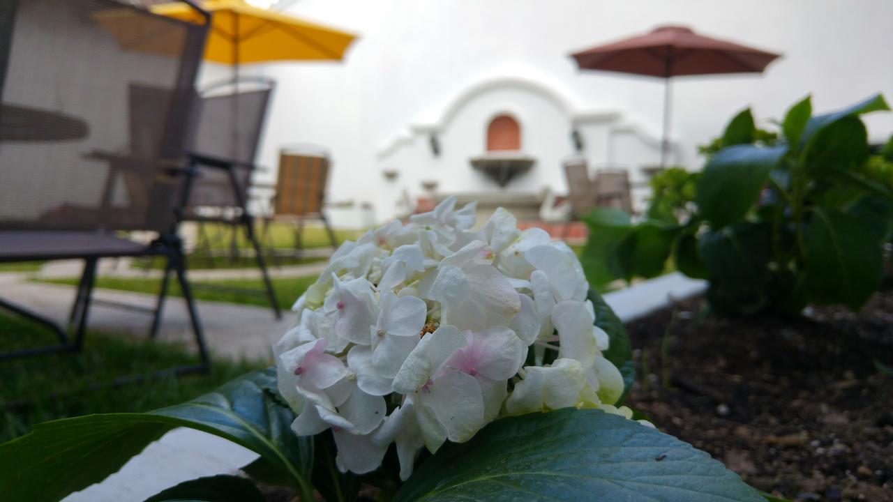 Ixkanul Antigua Hotel Exteriör bild
